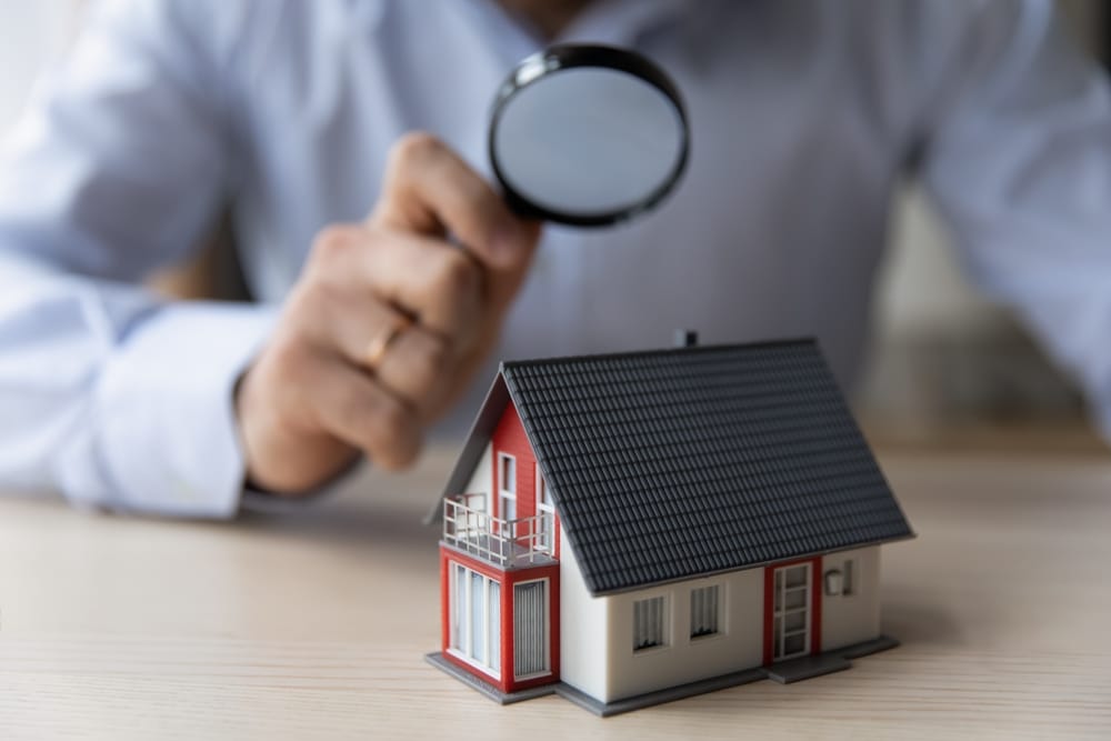 https://aerolitegroup.com/what-inspectors-dont-miss-pests-structural-electrical/