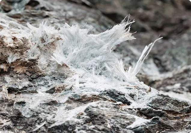 Kinds of materials where asbestos can reside