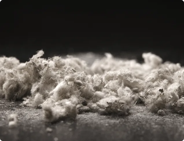 Risks of asbestos exposure