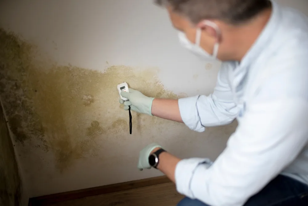 https://aerolitegroup.com/educate-clients-mold-testing/