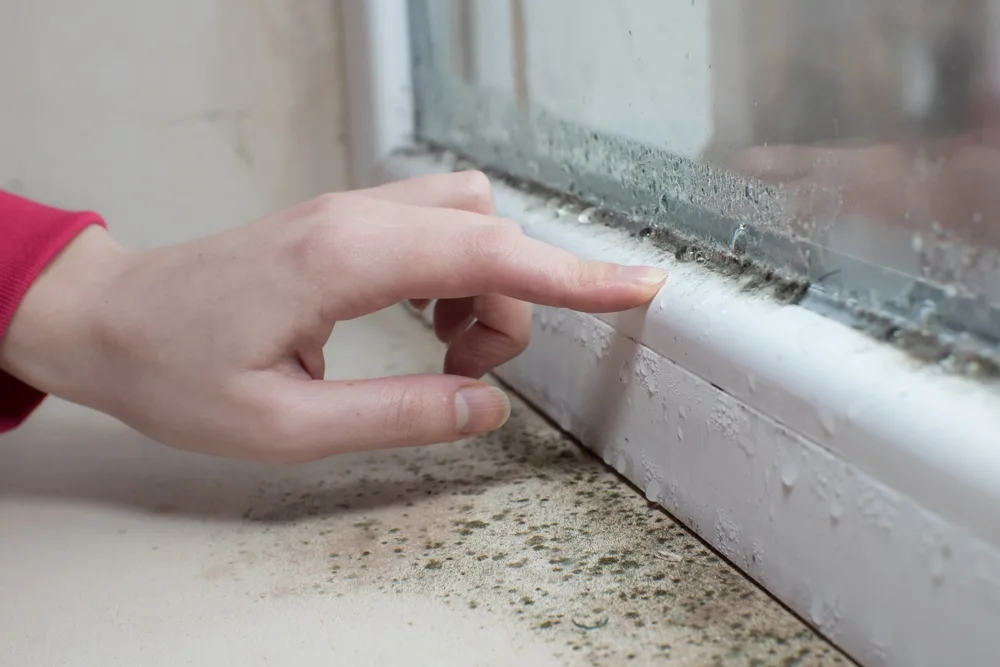 https://aerolitegroup.com/mold-testing-signs/
